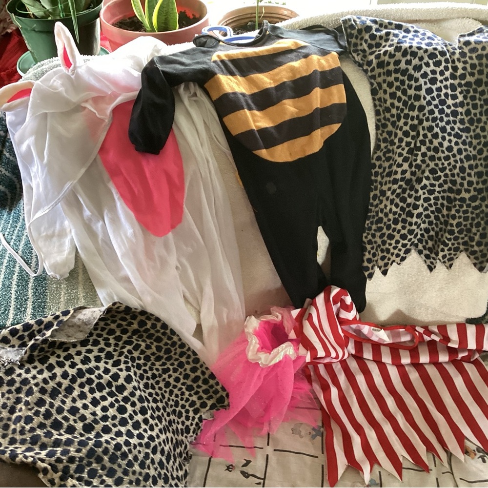 Some children costumes , they are used but good shape .